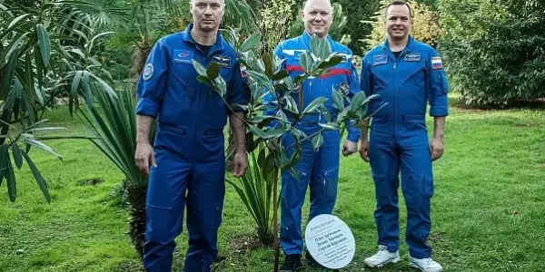 В парке «Ривьера» в Сочи космонавты высадили магнолию