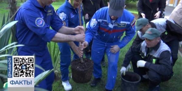 В Сочи космонавты провели традиционную высадку магнолий в парке «Ривьера»