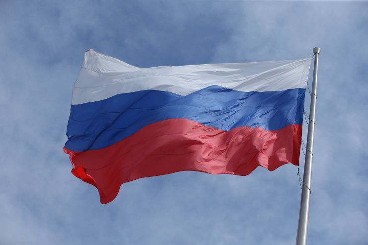 В Госдуме предложили лишать приобретенного гражданства за призывы к экстремизму и за осквернение флага РФ