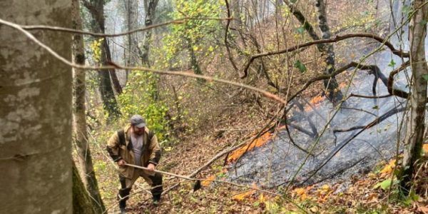 Посещение лесов в Краснодарском крае ограничили до 14 мая из-за жары