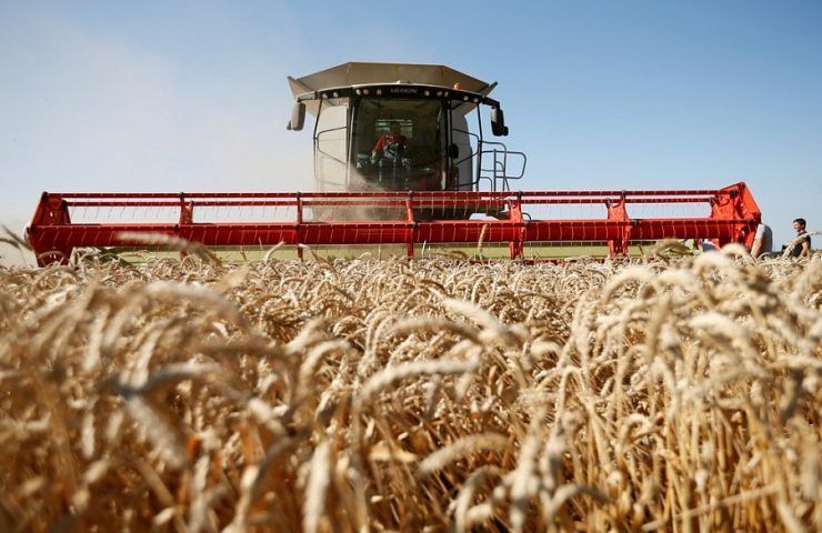 Кондратьев: впервые в истории на Кубани собрали 10,7 млн тонн пшеницы