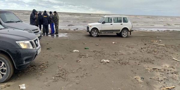 На побережье Каспийского моря в Дагестане обнаружили 1 тыс. 700 мертвых тюленей