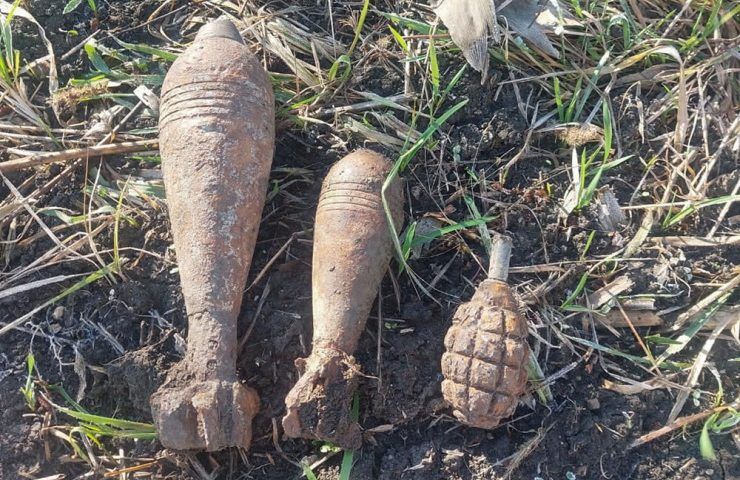 Снаряды, мины и лимонка: 11 боеприпасов времен войны уничтожили на Кубани