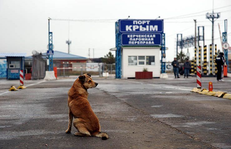 Очередь на Керченскую переправу в Краснодарском крае выросла до 397 машин