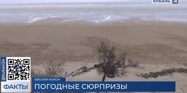 Непогода на Кубани: в Ейске ветер выгнал воду из лимана в Азовское море