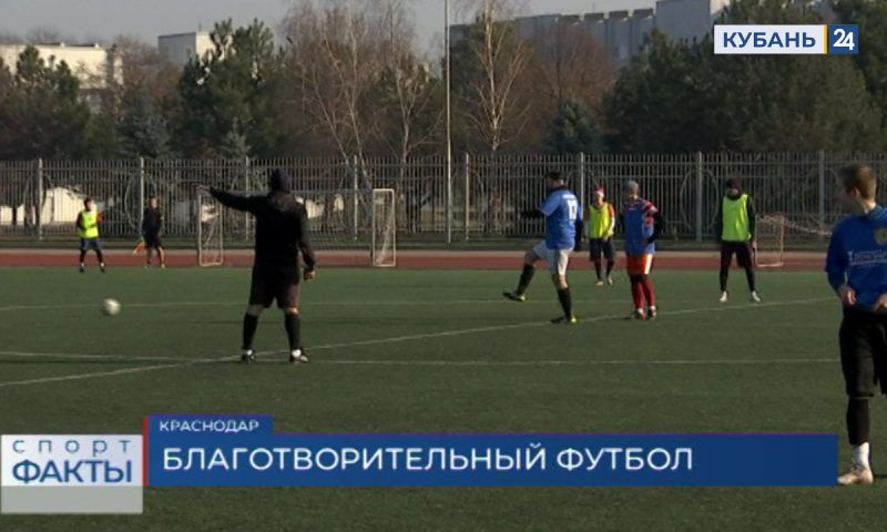 Футболисты-любители из Краснодара провели матч для помощи бездомным животным