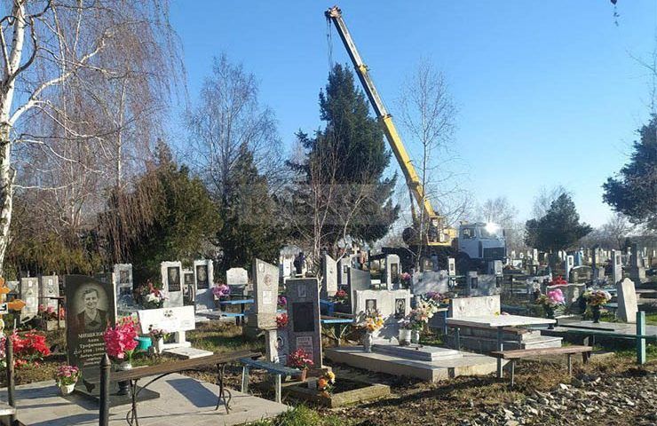 Кладбищенская елка: жители обеспокоились, что дерево с погоста установят у роддома в Славянске-на-Кубани