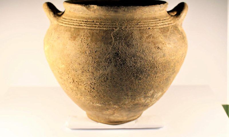 Погребение знатной женщины сарматского периода нашли археологи в Динском районе