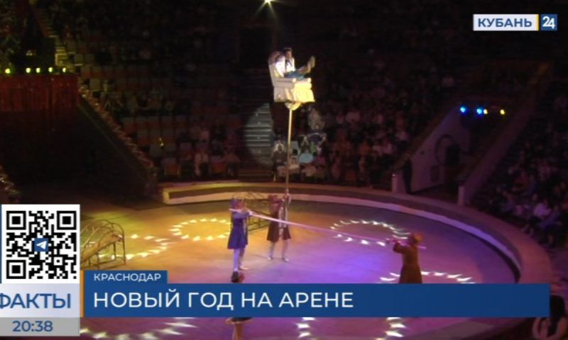 Премьерный показ программы «Новогодняя феерия» прошел в краснодарском цирке