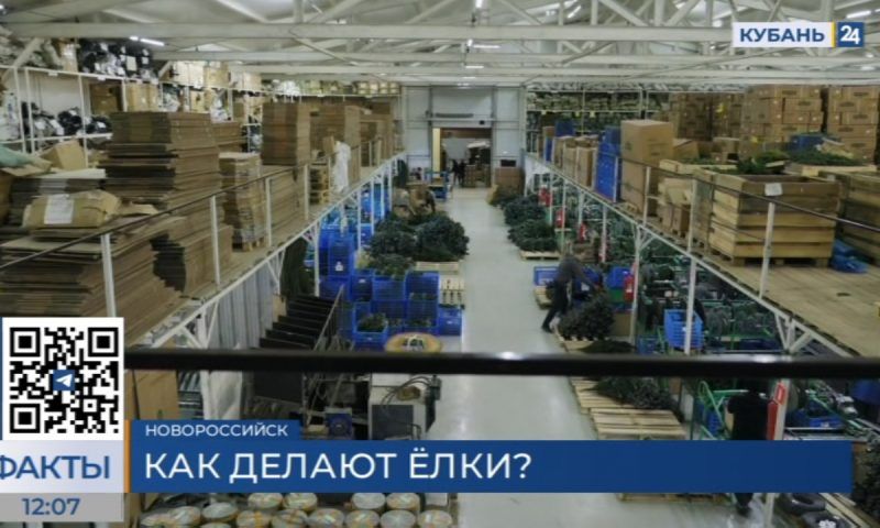 Как делают искусственные елки на фабрике в Новороссийске