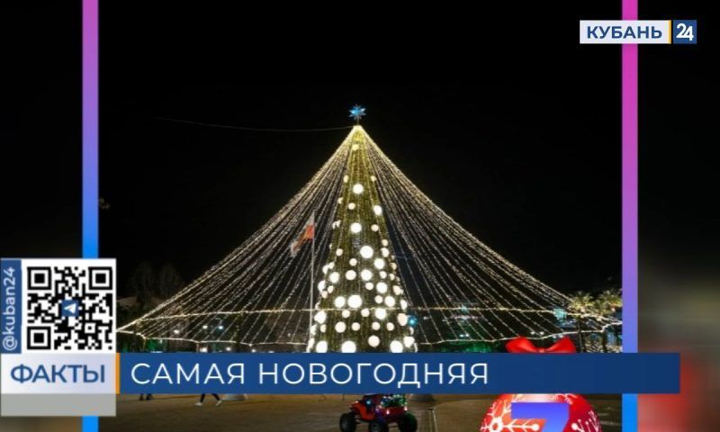 Жители Краснодарского края выберут самую красивую елку Кубани