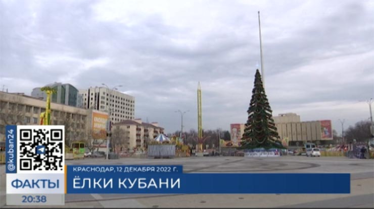 Девять новогодних елок установят в Краснодаре до 15 декабря