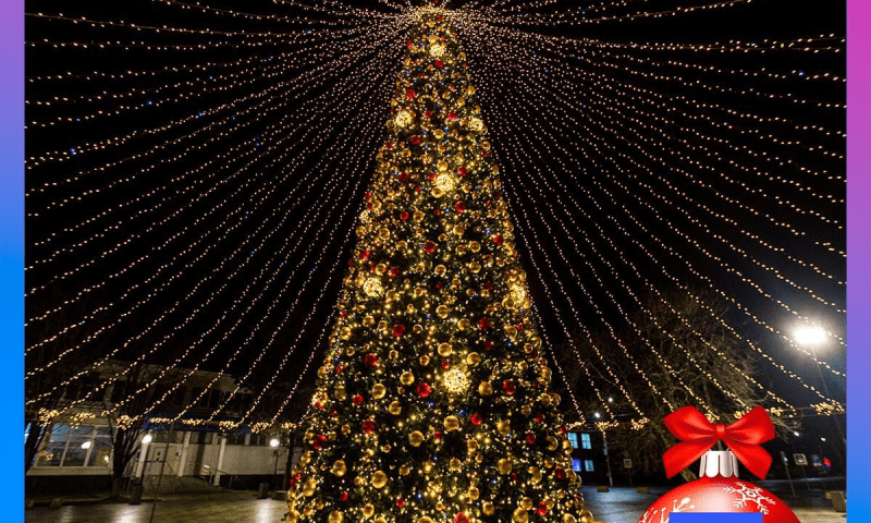 Самую красивую новогоднюю елку Краснодарского края выбрали подписчики «Кубань 24»