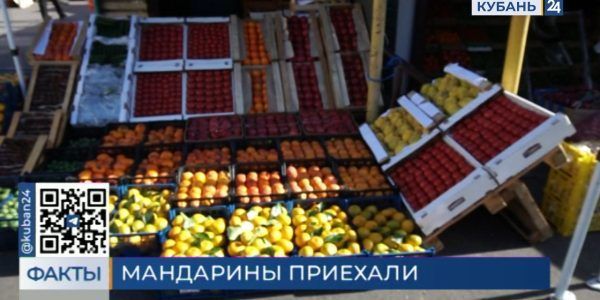 В Краснодарский край ввезли 64 тыс. тонн мандаринов