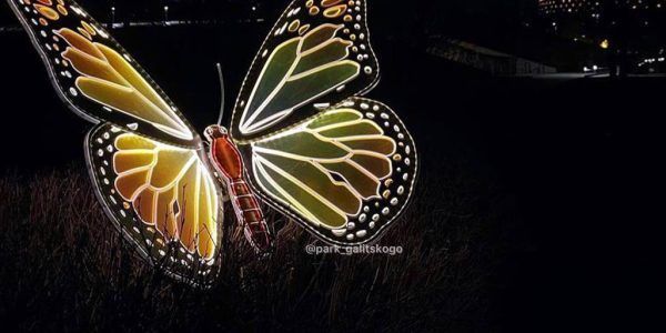 В парке «Краснодар» на кустах появились светящиеся бабочки