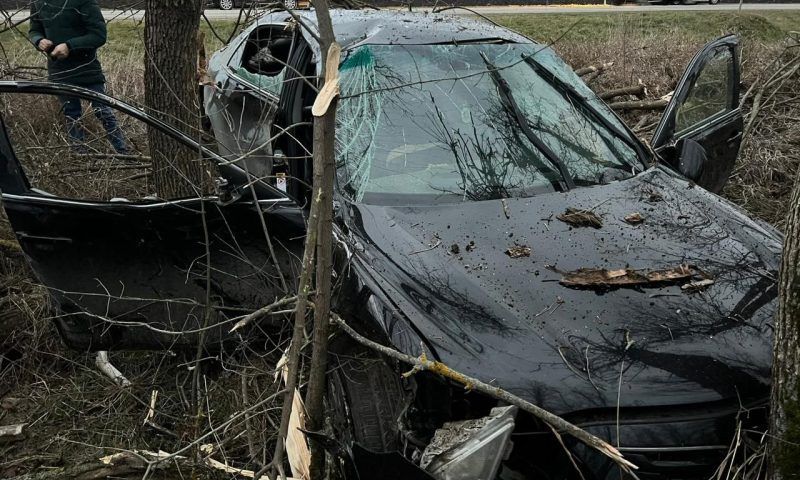 Водитель иномарки погиб, вылетев с дороги в лесополосу в Краснодарском крае