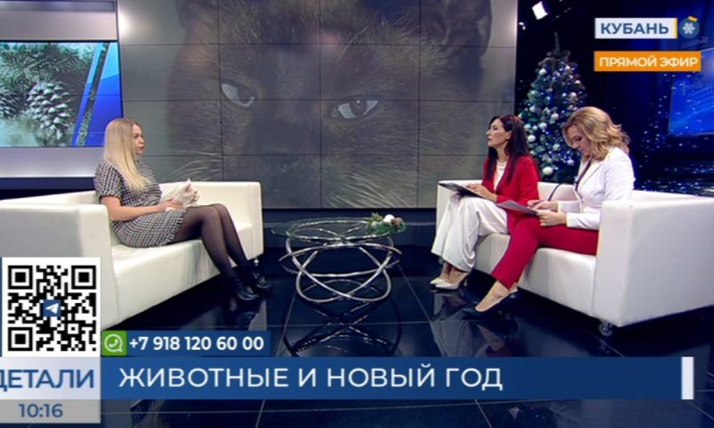Дарья Тимченко: домашних питомцев нужно подготовить к Новому году