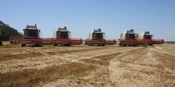 Сельхозпредприятие Кубани на 40% повысило выработку благодаря нацпроекту