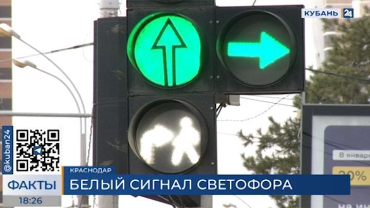 Новые светофоры появились на Кубани: как оценили нововведение пешеходы и водители