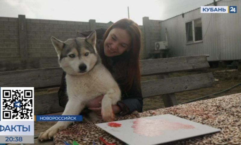 Живопись с отпечатками лап: в Новороссийске собаки рисуют картины