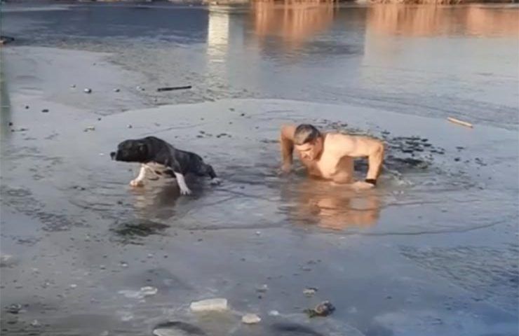 Услышал зов о помощи: самбист Гильманов рассказал подробности спасения собаки в Новороссийске