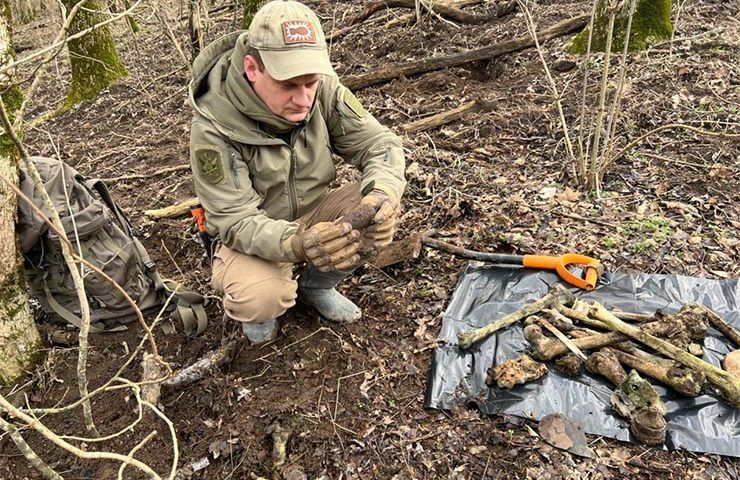 Останки двух красноармейцев и минометные мины нашли под Новороссийском