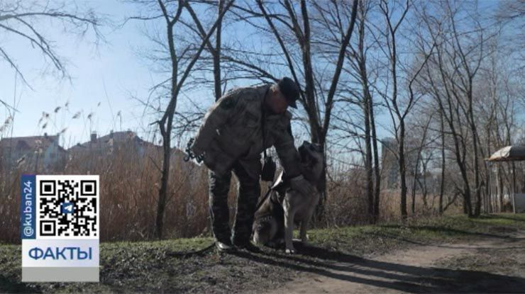 На страже здоровья: в Анапе кинолог и собака-санитар оказывают отдыхающим первую помощь