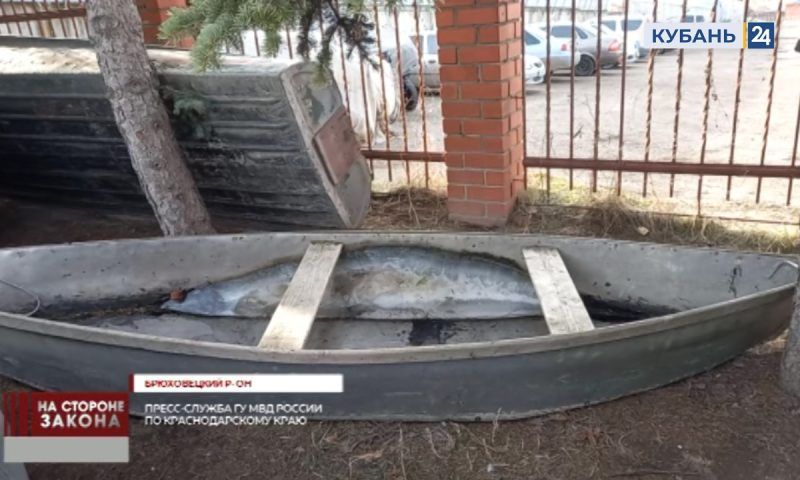 Рыбак незаконно выловил 230 рыб разных пород в Брюховецком районе