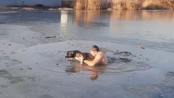 Мужчина бросился в воду, спасая провалившуюся под лед собаку в Новороссийске. Видео