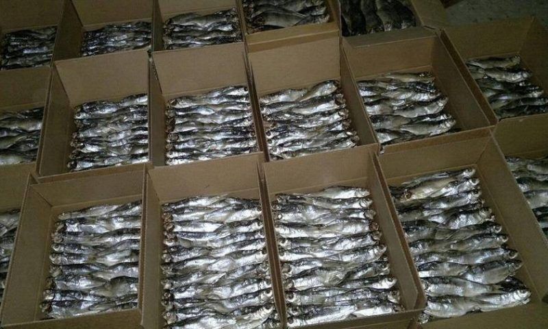 На Кубани 300 кг вяленой рыбы «уплыло» из рук бизнесмена из-за отсутствия документов