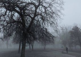 Туман, гололед и потепление до +11 °С ожидаются на Кубани 22 января