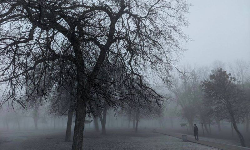 В Краснодарском крае 21 ноября ожидаются дожди с мокрым снегом