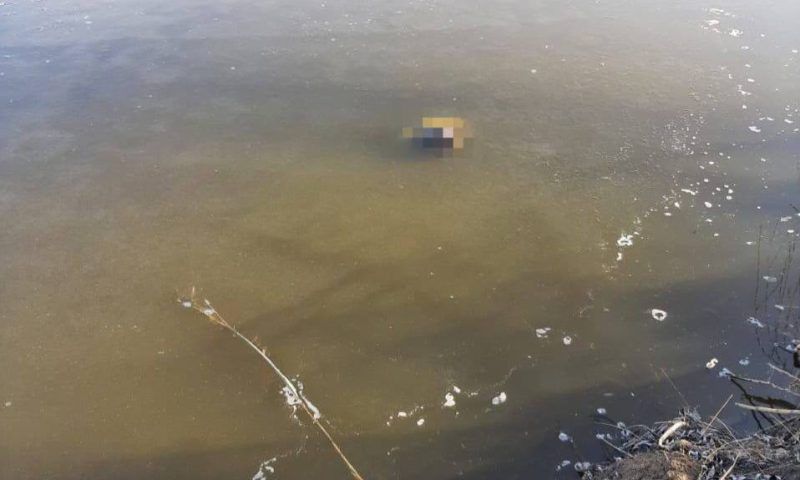 В Динском районе в реке нашли труп мужчины