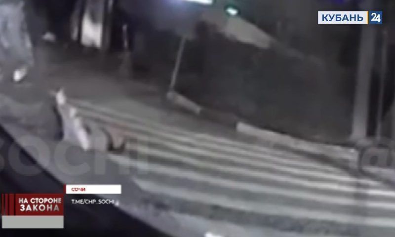 Закидали машину петардами и избили мужчину: подростки напали на водителя в Сочи