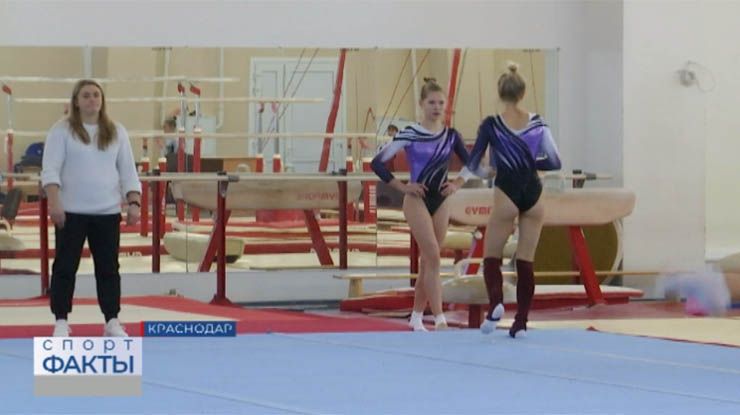 Чемпионат Краснодарского края по спортивной гимнастике проходит в Краснодаре