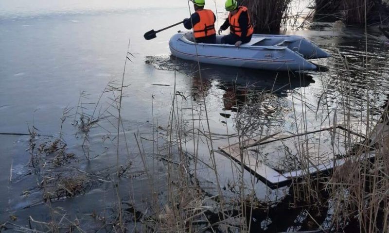В Динском районе спасли примерзшего ко льду лебедя