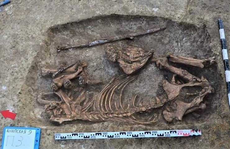 Стеклянную посуду, оружие и украшения возрастом 2 тыс. лет нашли в могильнике под Анапой