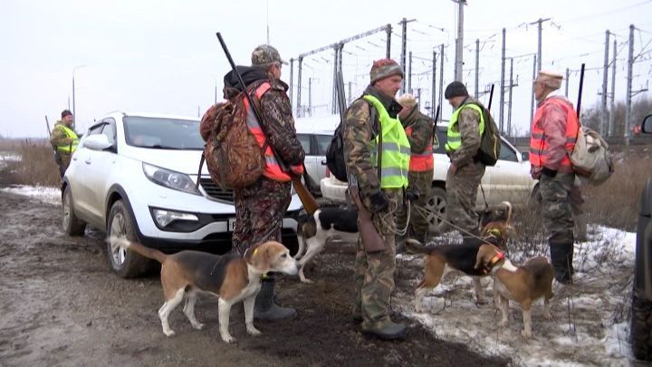Облаву на хищников устроили охотники в Кореновском районе