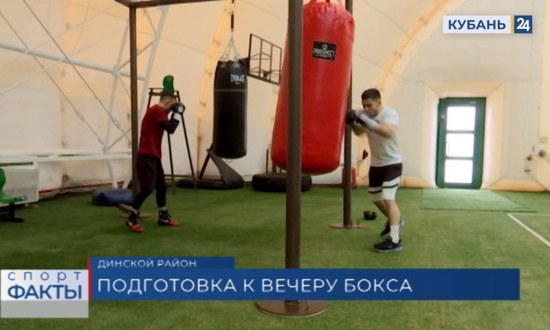 В Краснодаре пройдет боксерский турнир, посвященный 80-летию освобождения города от фашистов