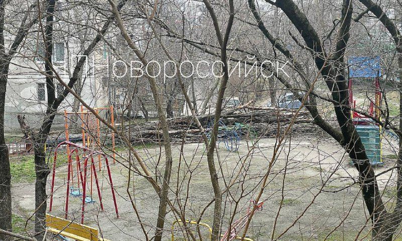 В Новороссийске включили сирены из-за ураганного ветра, роняющего деревья