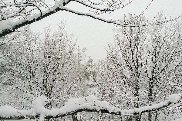 В горах Сочи 6 и 7 февраля ожидается сильный снегопад