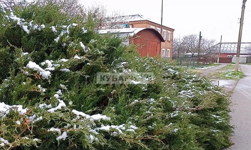 Прогнозы сбылись: снег и сильный ветер обрушились на Краснодарский край