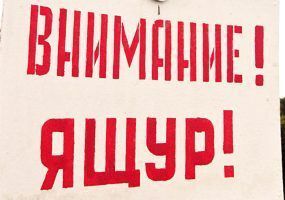 709397021472cc7a25c75f437d7a15f8