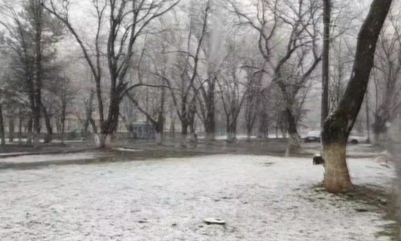 Крутой вираж весны: мартовская оттепель сменилась дождями и снегом в Краснодарском крае
