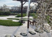 В парке «Краснодар» состоялось открытие Японского сада