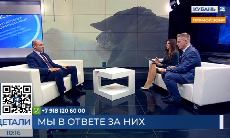 Алексей Басанкин: более 24 тыс. животных на Кубани чипированы