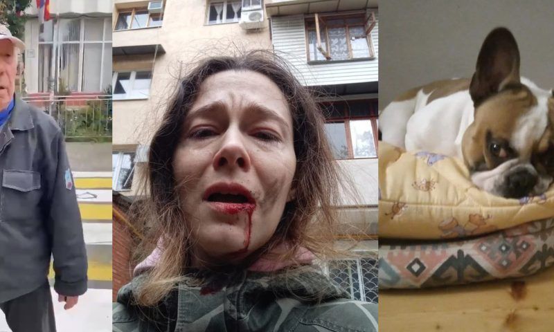 В Сочи пенсионер ударил женщину палкой по лицу из-за выгула собаки