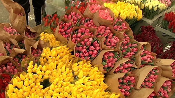 Цветочные рынки в Краснодаре: где предпочитают покупать букеты жители города