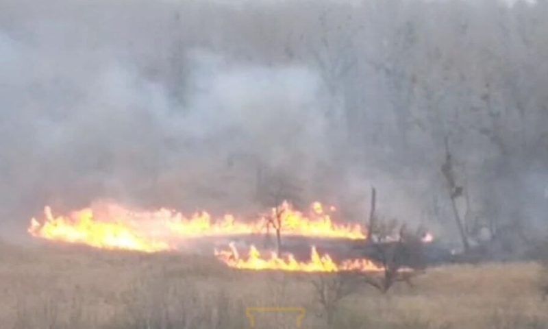 В лесопарке в микрорайоне Гидростроителей в Краснодаре загорелась сухая трава, огонь охватил 300 кв. метров