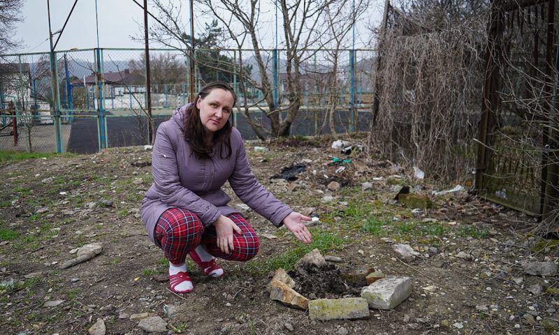Жительница Новороссийска сообщила о краже деревьев, высаженных ее детьми во время акции «Сад памяти»